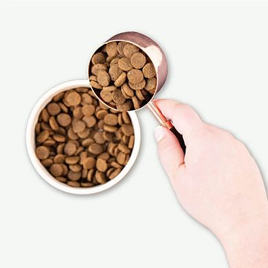 Earthborn Holistic Great Plains Feast Bison Meal & Vegetables Grain-Free Dry Dog Food - 25 Lbs