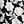 Black Linear Floral