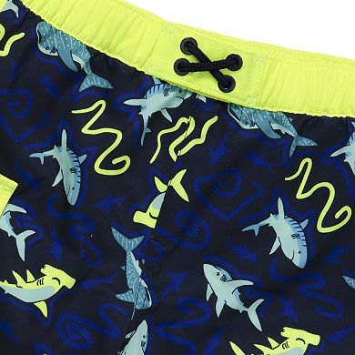 Boys 2-20 Lands' End Chlorine Resistant Cargo Hydroliner Long Board Shorts