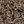 Brown Sugar Paisley
