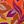 Warm Batik Leaves