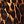 Brown Painterly