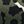 Olive Leopard