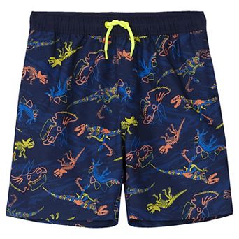 Boys 2-20 Lands' End Slim Active Stretch Swim Trunks
