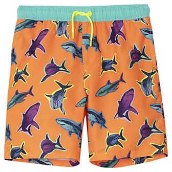 Boys 2-20 Lands' End Slim Active Stretch Swim Trunks
