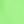 Neon Green Sharks