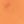 Neon Orange Sharks