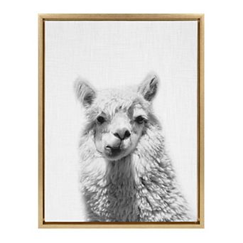 Sylvie Alpaca Framed Canvas by Simon Te of Tai Prints