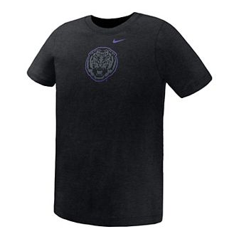 Preschool Nike Black LSU Tigers Legend Color Pop Performance T-Shirt
