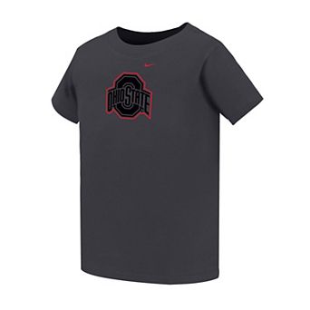 Toddler Nike Charcoal Ohio State Buckeyes Legend Color Pop Performance T-Shirt