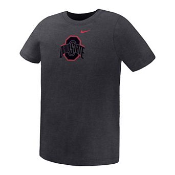 Preschool Nike Charcoal Ohio State Buckeyes Legend Color Pop Performance T-Shirt