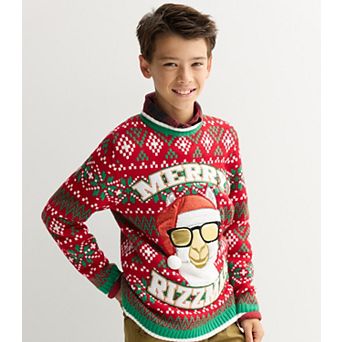 Boys 8-20 Long Sleeve Ugly Holiday Crewneck Pullover Sweater