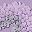 Butterfly Lilac