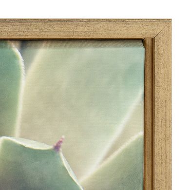 Sylvie Succulent 1 Framed Canvas by F2 Images