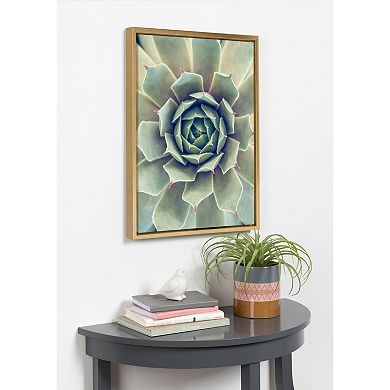 Sylvie Succulent 1 Framed Canvas by F2 Images