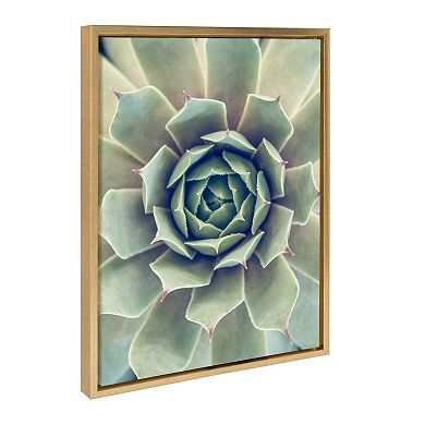 Sylvie Succulent 1 Framed Canvas by F2 Images