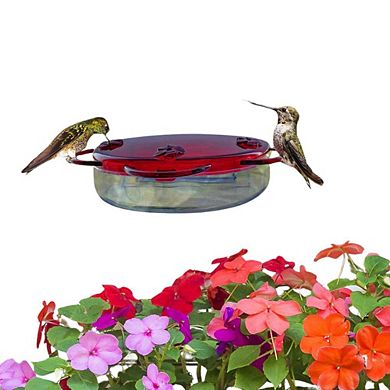 Nature's Way Traditional Window Flower Hummingbird Feeders