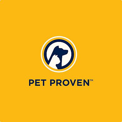 BISSELL Revolution HydroSteam Carpet Cleaner (4120)