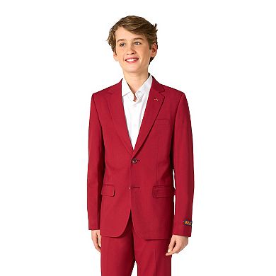 Boys 10-16 OppoSuits Daily 2-Piece Burgundy Suit Set