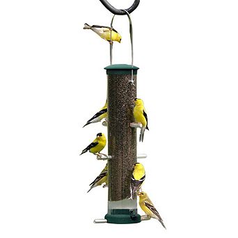 Aspects Spruce Medium Quick Clean Nyjer Thistle Tube Bird Feeder