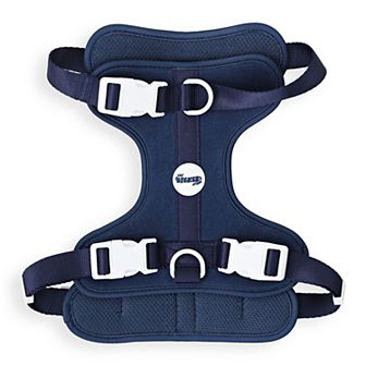 Arlo Adjustable Soft Padded No Pull Pet Harness with 3 Buckles and 3 Leash Clips