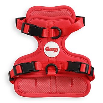 Arlo Adjustable Soft Padded No Pull Pet Harness with 3 Buckles and 3 Leash Clips