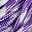 Purple White