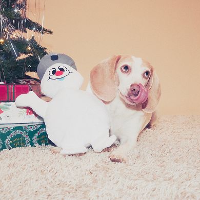 BARK Frosty Plush Pet Toy