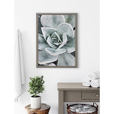 Blake Botanical Succulent Plants 3 Framed Printed Glass by The Creative Bunch Studio
