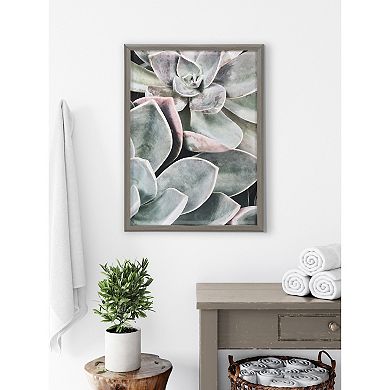 Blake Botanical Succulent Plants 1 Framed Printed Glass by The Creative Bunch Studio