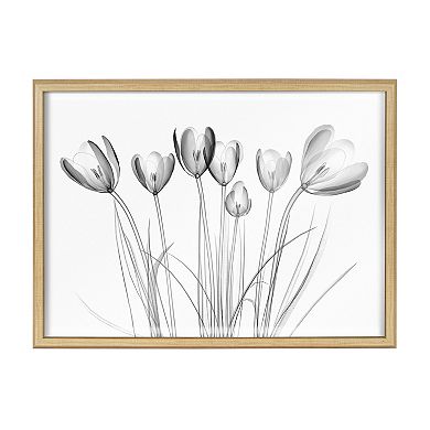 Blake Crocus X Ray Floral BW Framed Printed Art by The Creative Bunch Studio