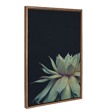 Sylvie Succulent Framed Canvas by Emiko and Mark Franzen of F2Images