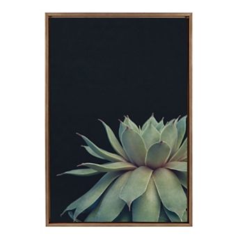 Sylvie Succulent Framed Canvas by Emiko and Mark Franzen of F2Images