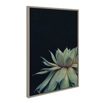 Sylvie Succulent Framed Canvas by Emiko and Mark Franzen of F2Images