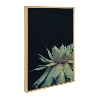 Sylvie Succulent Framed Canvas by Emiko and Mark Franzen of F2Images