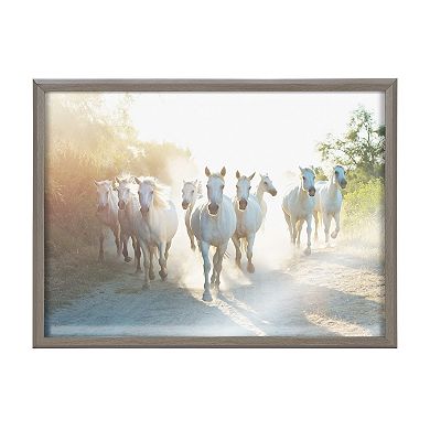 Blake Camargue Horse XIII Framed Printed Glass by Laura Evans