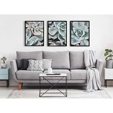 Sylvie Botanical Succulent Plants Framed Canvas Set by The Creative Bunch Studio