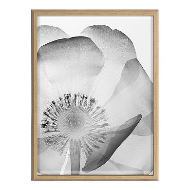 Blake Poppy X Ray Floral 2 BW Framed Printed Art by The Creative Bunch Studio