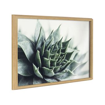 Blake Radical Succulent Framed Printed Glass by Emiko and Mark Franzen of F2Images
