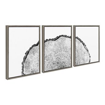 Sylvie Tree Rings Set Framed Canvas by Emiko and Mark Franzen of F2Images