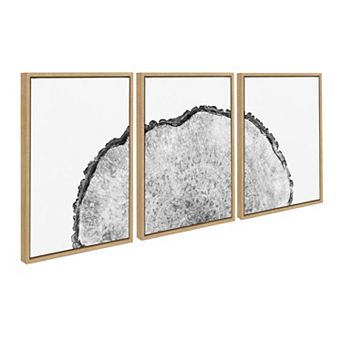 Sylvie Tree Rings Set Framed Canvas by Emiko and Mark Franzen of F2Images