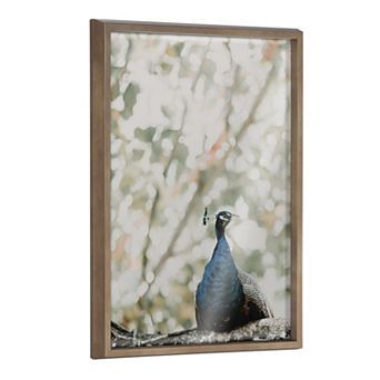 Blake Peacock Framed Printed Glass by Alicia Abla