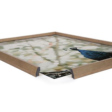 Blake Peacock Framed Printed Glass by Alicia Abla