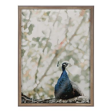 Blake Peacock Framed Printed Glass by Alicia Abla