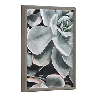 Blake Botanical Succulent Plants 2 Framed Printed Glass by The Creative Bunch Studio