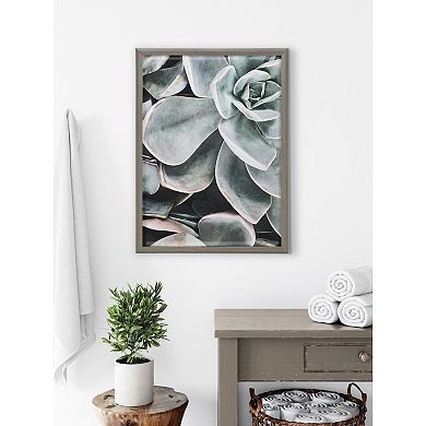 Blake Botanical Succulent Plants 2 Framed Printed Glass by The Creative Bunch Studio