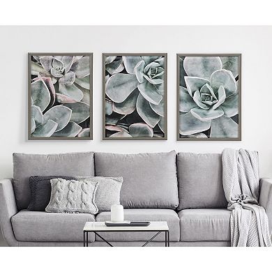 Blake Botanical Succulent Plants 2 Framed Printed Glass by The Creative Bunch Studio