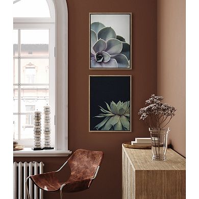 Sylvie Succulent 5 and Succulent 8 Framed Canvas by Emiko and Mark Franzen of F2Images