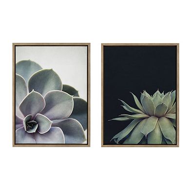 Sylvie Succulent 5 and Succulent 8 Framed Canvas by Emiko and Mark Franzen of F2Images