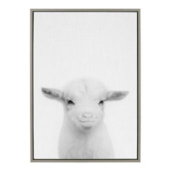 Sylvie Baby Goat Framed Canvas by Simon Te of Tai Prints